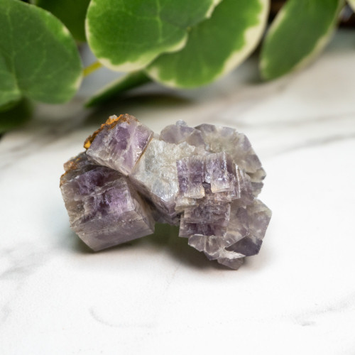 Purple Aragonite #5