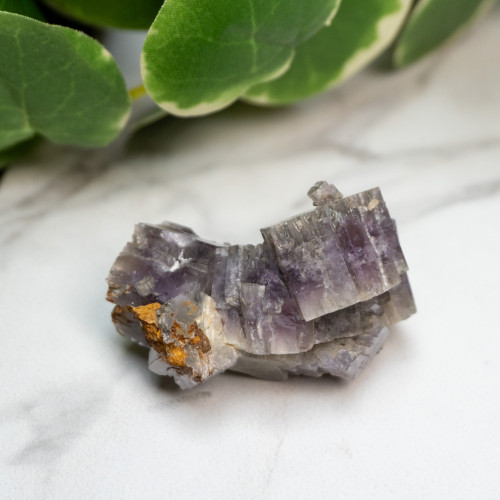 Purple Aragonite #5