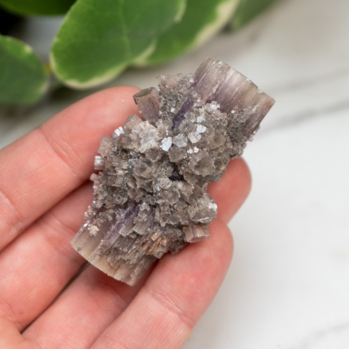 Purple Aragonite #4