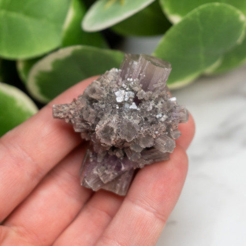 Purple Aragonite #3