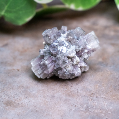 Purple Aragonite #2