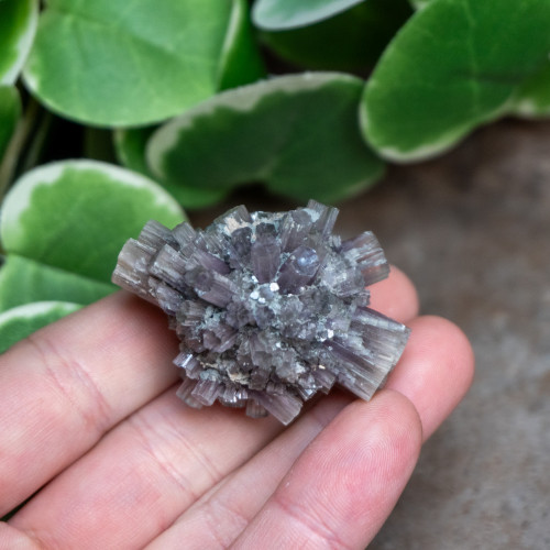 Purple Aragonite #2