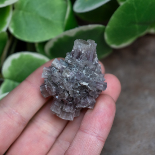 Purple Aragonite #2