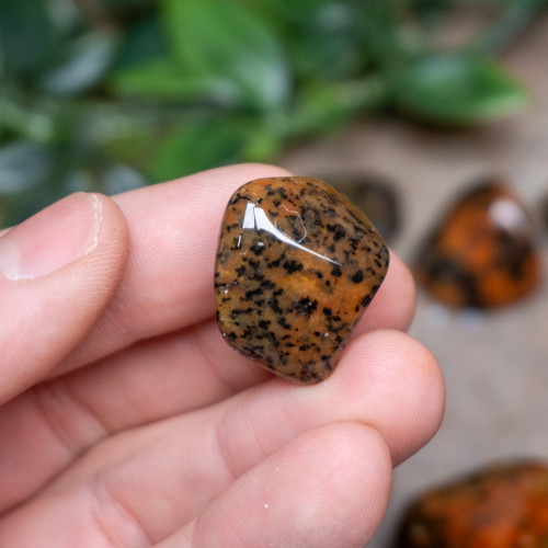 Cheetah Agate Tumbled