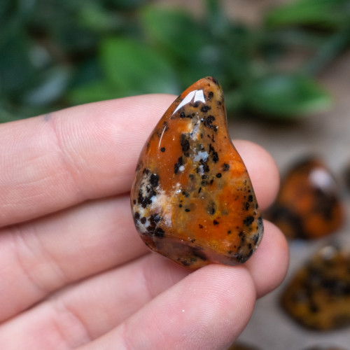 Cheetah Agate Tumbled