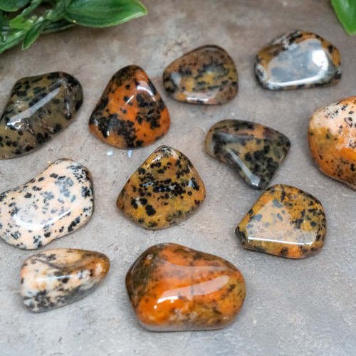 Cheetah Agate Tumbled