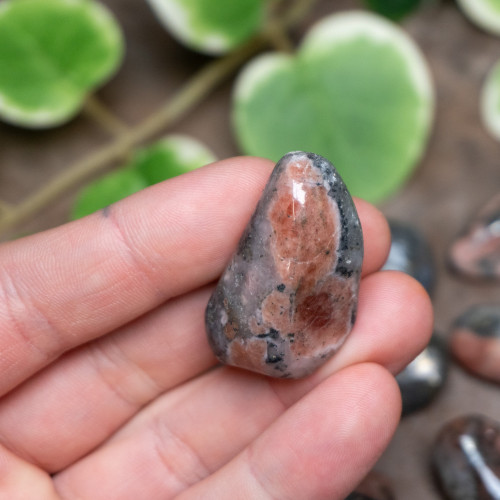 Triplite, Wagnerite, Pyrite in Quartz Tumbled