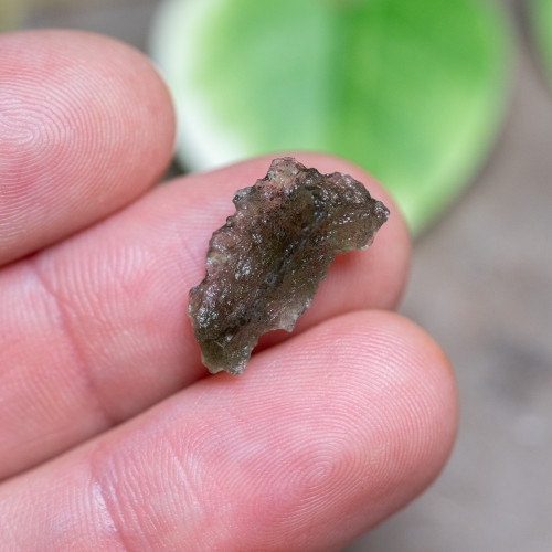 Moldavite Raw #25