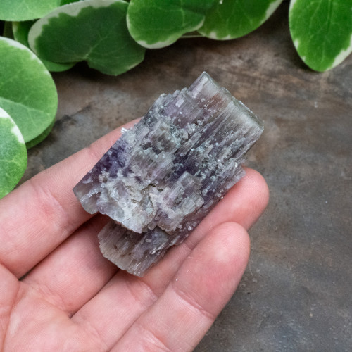 Purple Aragonite #1