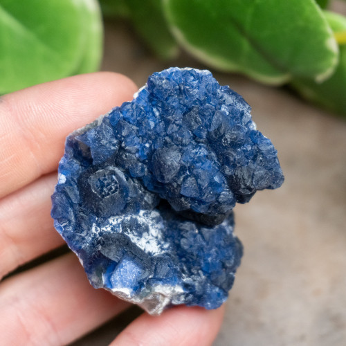 Inner Mongolian Blueberry Fluorite #5