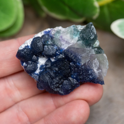 Inner Mongolian Blueberry Fluorite #1