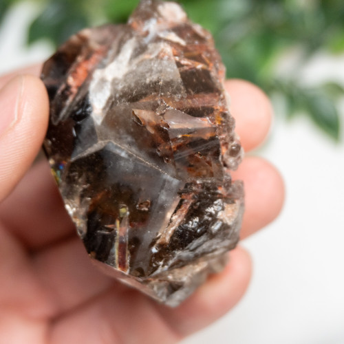 Elestial Smoky Quartz With Red Epidote #1