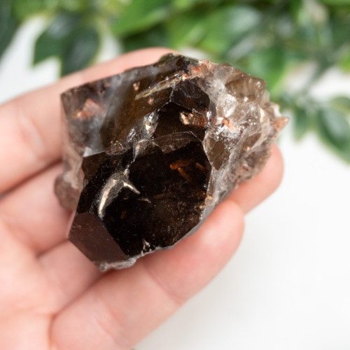 Elestial Smoky Quartz With Red Epidote #1