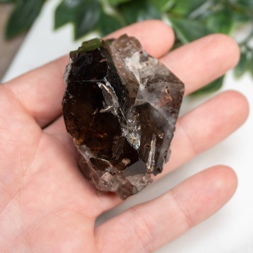 Elestial Smoky Quartz With Red Epidote #1