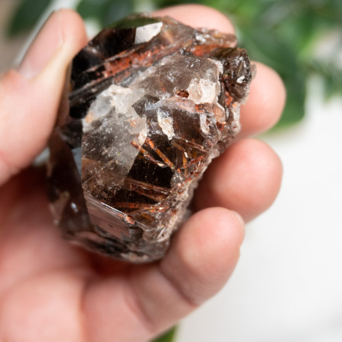 Elestial Smoky Quartz With Red Epidote #1