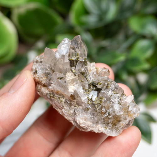 Epidote in Quartz #1