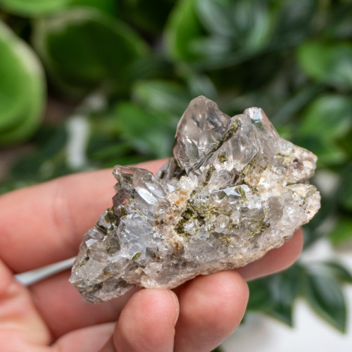 Epidote in Quartz #1