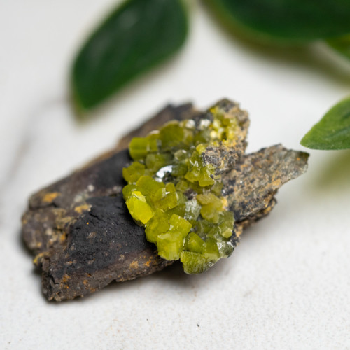 Pyromorphite Raw #5