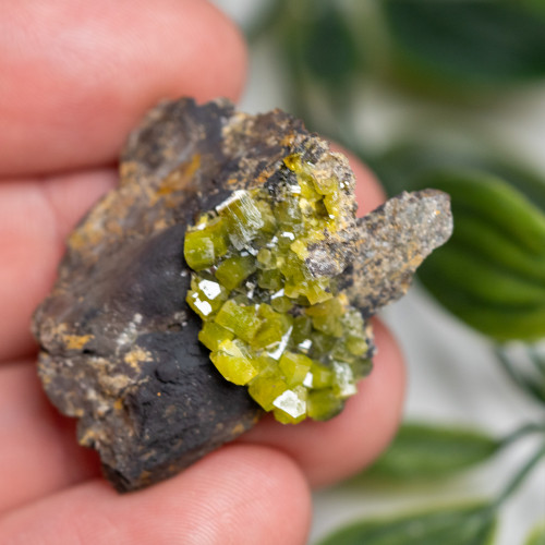 Pyromorphite Raw #5