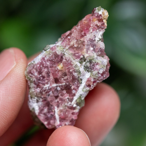 Watermelon Tourmaline #3