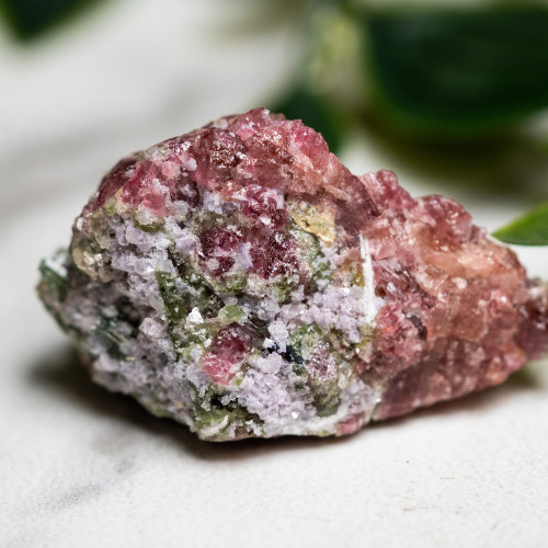 Watermelon Tourmaline #3