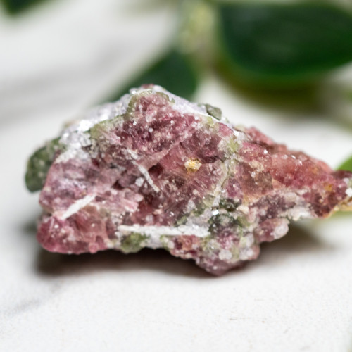 Watermelon Tourmaline #3