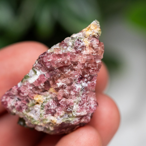 Watermelon Tourmaline #3