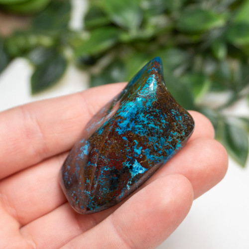 Shattuckite, Cuprite and Tenorite Polished #5