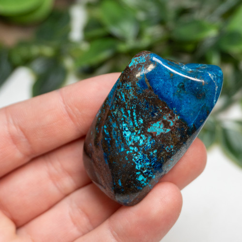 Shattuckite, Cuprite and Tenorite Polished #5