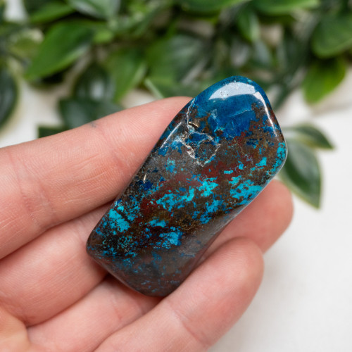 Shattuckite, Cuprite and Tenorite Polished #5