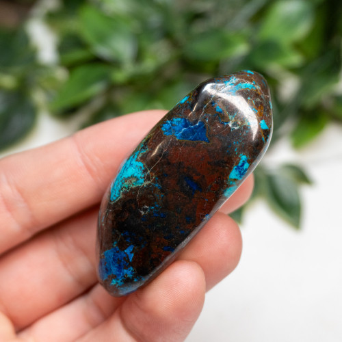 Shattuckite, Cuprite and Tenorite Polished #3