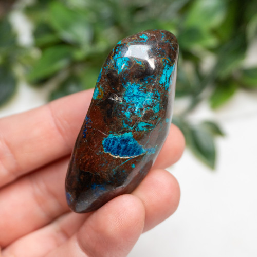 Shattuckite, Cuprite and Tenorite Polished #3