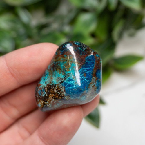 Shattuckite, Cuprite and Tenorite Polished #2