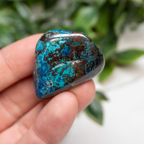 Shattuckite, Cuprite and Tenorite Polished #2