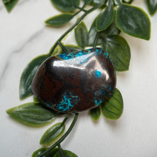 Shattuckite, Cuprite and Tenorite Polished #1