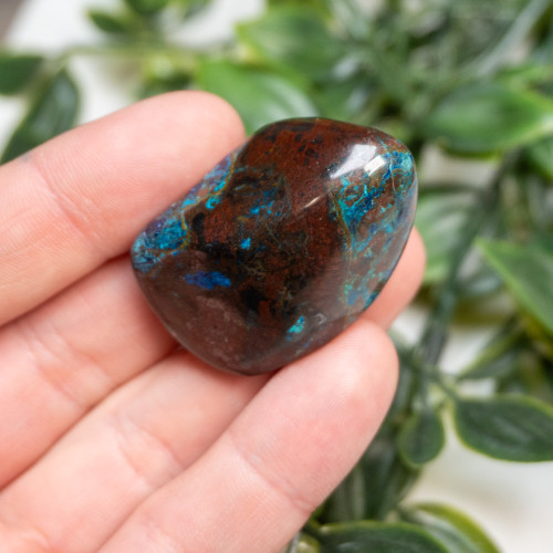 Shattuckite, Cuprite and Tenorite Polished #1