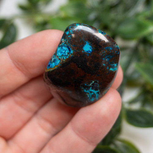 Shattuckite, Cuprite and Tenorite Polished #1