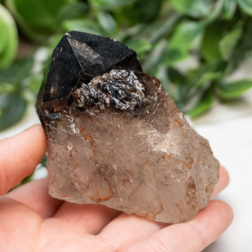 Elestial Smoky Quartz #2