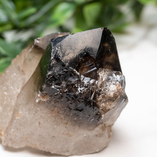 Elestial Smoky Quartz #2