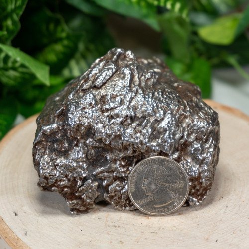 Campo Del Cielo Meteorite #3