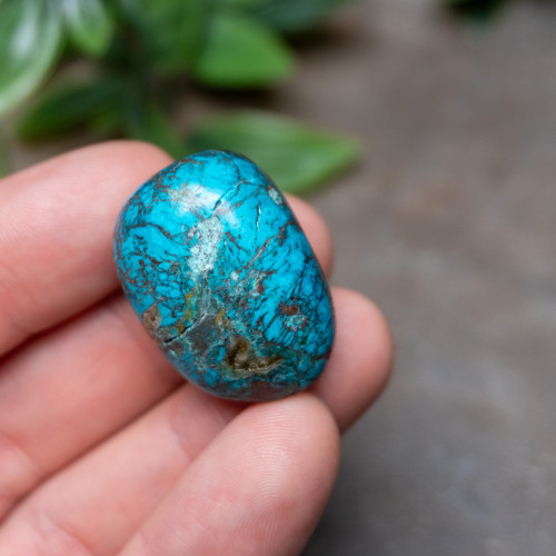 Chrysocolla, Shattuckite, and Cuprite #1