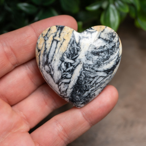 Pinolith Heart