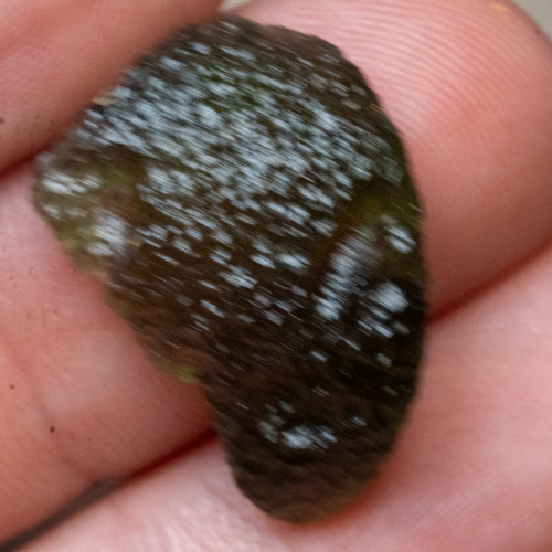 Moldavite Large #1