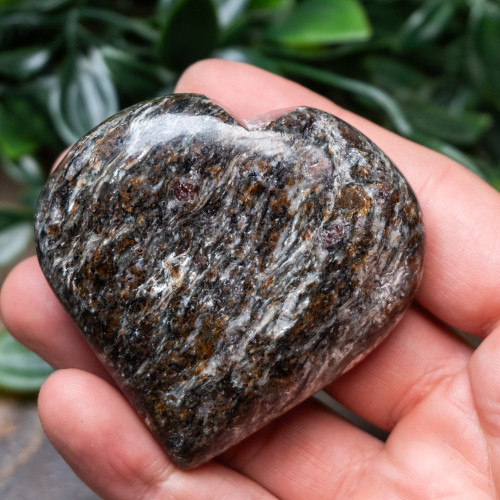 Garnet in Staurolite Heart #4