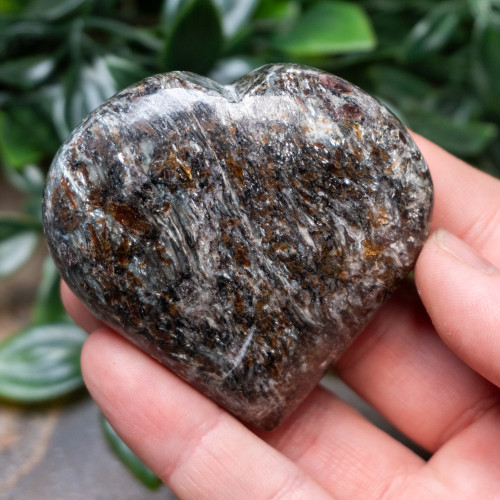 Garnet in Staurolite Heart #4