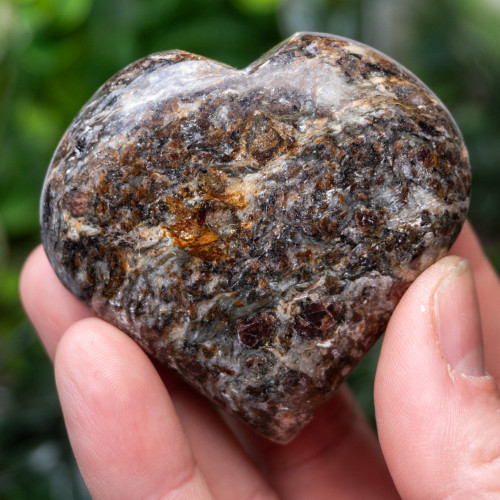 Garnet in Staurolite Heart #3