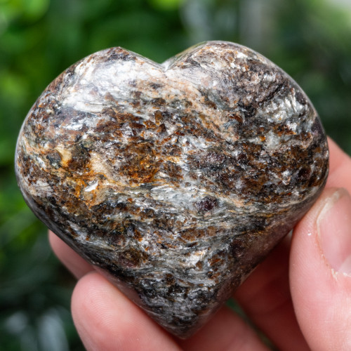 Garnet in Staurolite Heart #3