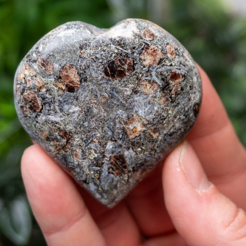 Garnet in Staurolite Heart #2