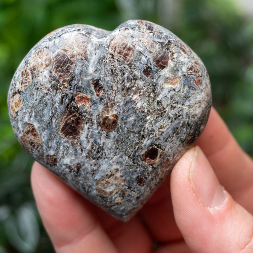 Garnet in Staurolite Heart #2