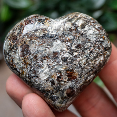 Garnet in Staurolite Heart #1